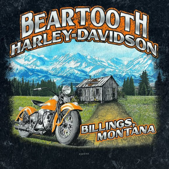Harley-Davidson Shirt Mens 2XL Black Stonewash Skull Beartooth Billings Montana - Picture 9 of 12